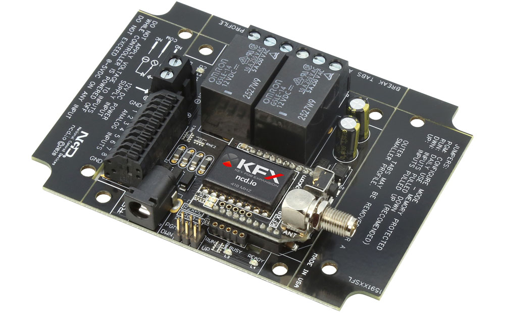 Programmable Key Fob - 2-Channel